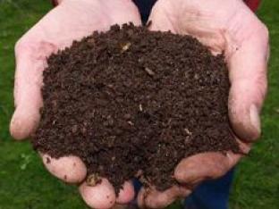 Mottiez fleurs et paysages - Terreau 